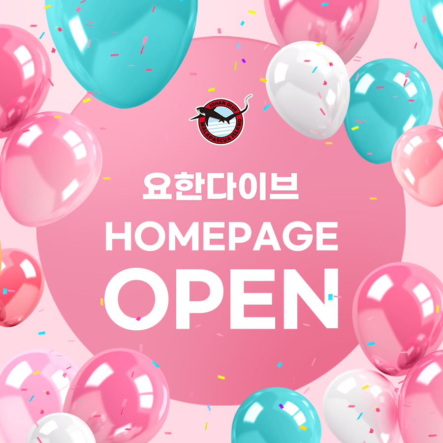 팝업